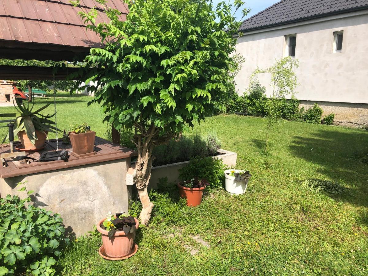 Ferienwohnung Elvira Vendeghaz Kisbodak Exterior foto